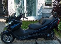 Große Scheibe von Puig